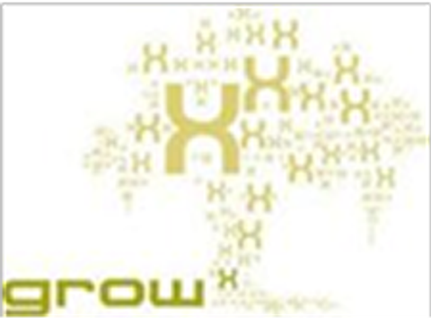 GrowX Ventures