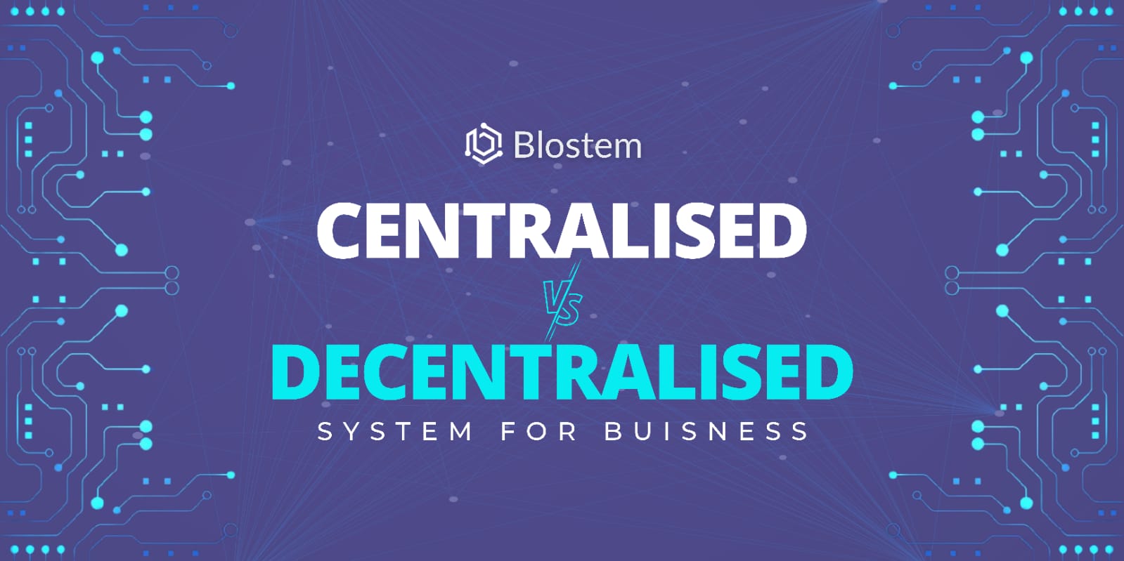 Centralized vs. Decentralized system for business